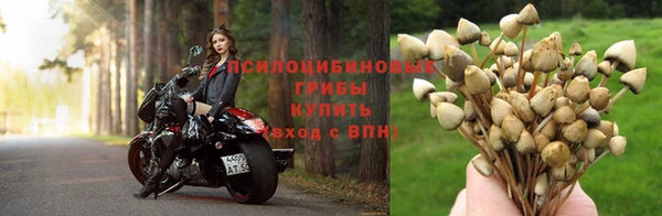 кокаин премиум Баксан