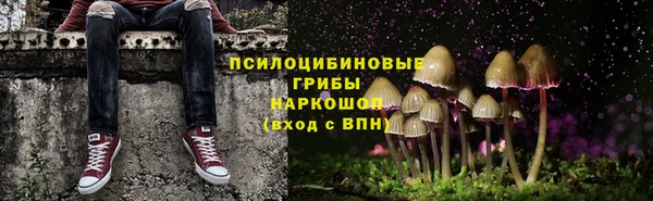 а пвп мука Балабаново